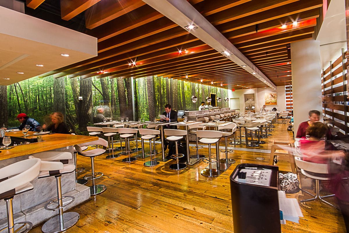 ATL eater oneflewsouth.0.0.1504899557