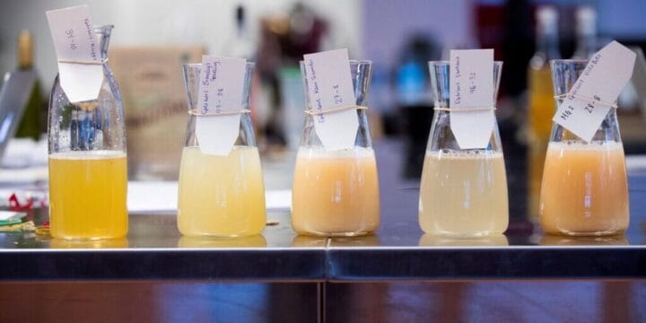 hanen eplemost 4275 1024x651 panorama e1714049644358