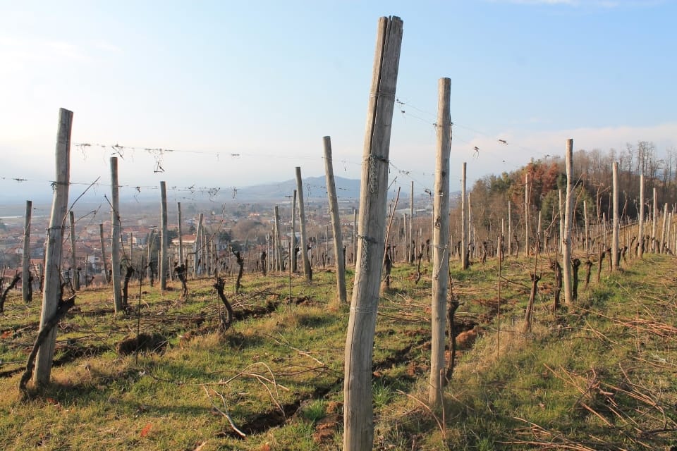 mimo cantina Antichi Vigneti di Cantalupo Ghemme