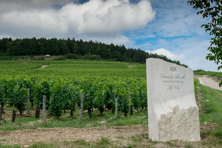 Bestselgere hos Vinmonopolet første halvår 3 Domaine Laroche